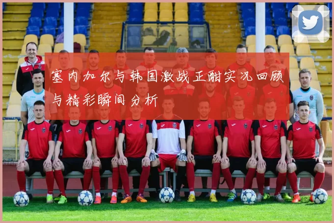 塞内加尔与韩国激战正酣实况回顾与精彩瞬间分析